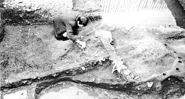 Excavation photo